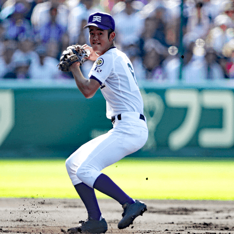 ãå¤ªç°æ¤ãã®ç»åæ¤ç´¢çµæ