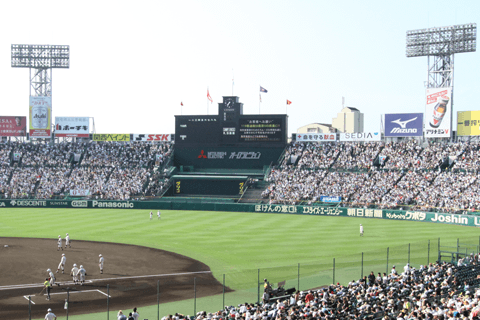 予想 甲子園 優勝