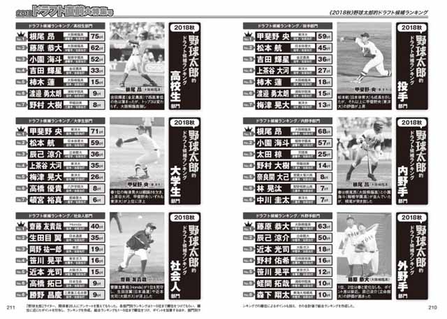 野球太郎的ドラフト候補ランキング《2018秋》部門別ランキング